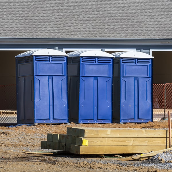 do you offer hand sanitizer dispensers inside the porta potties in Cherry Log Georgia